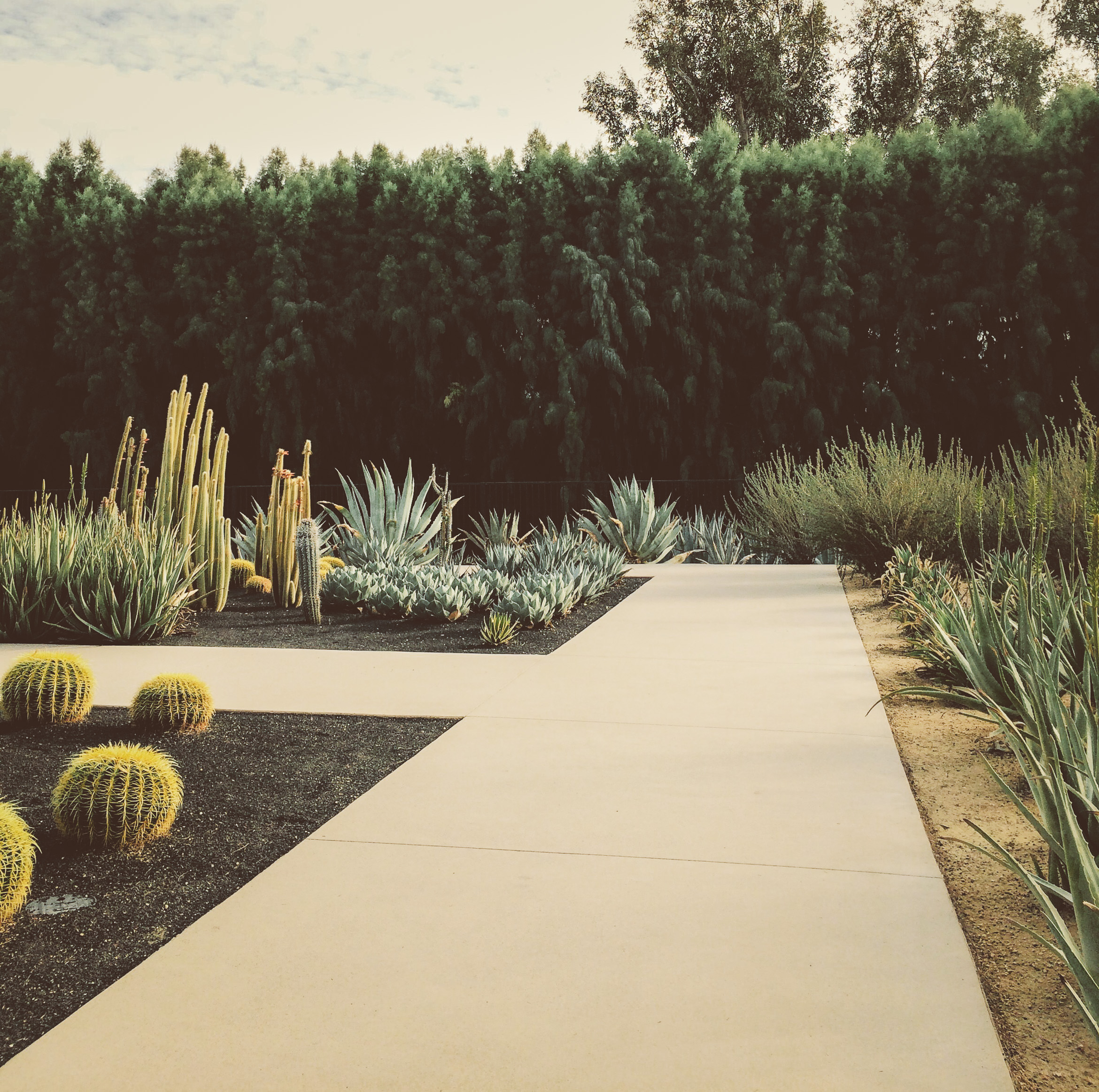 california palm springs modernism sunnylands