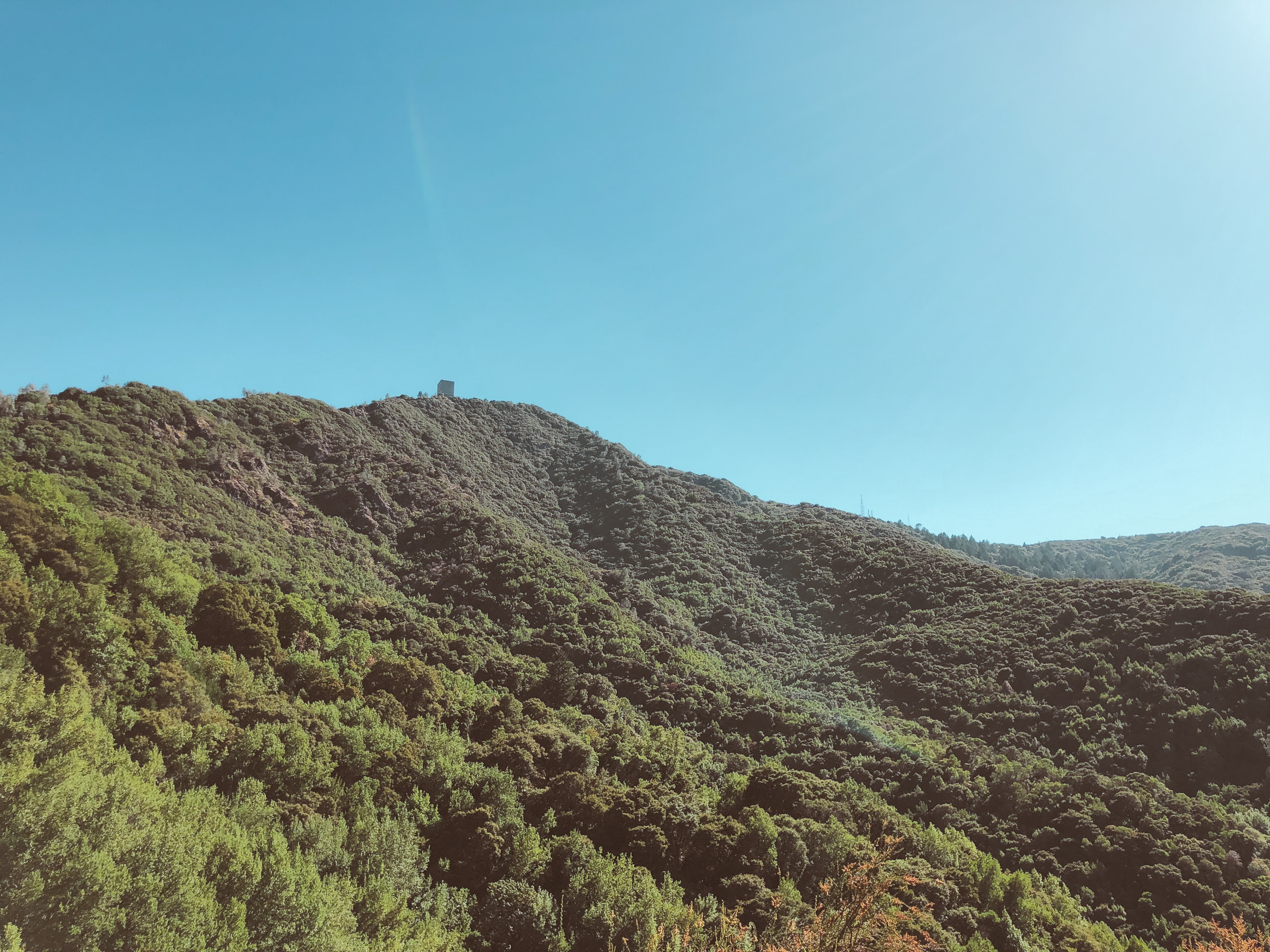 california hiking mount umunhum