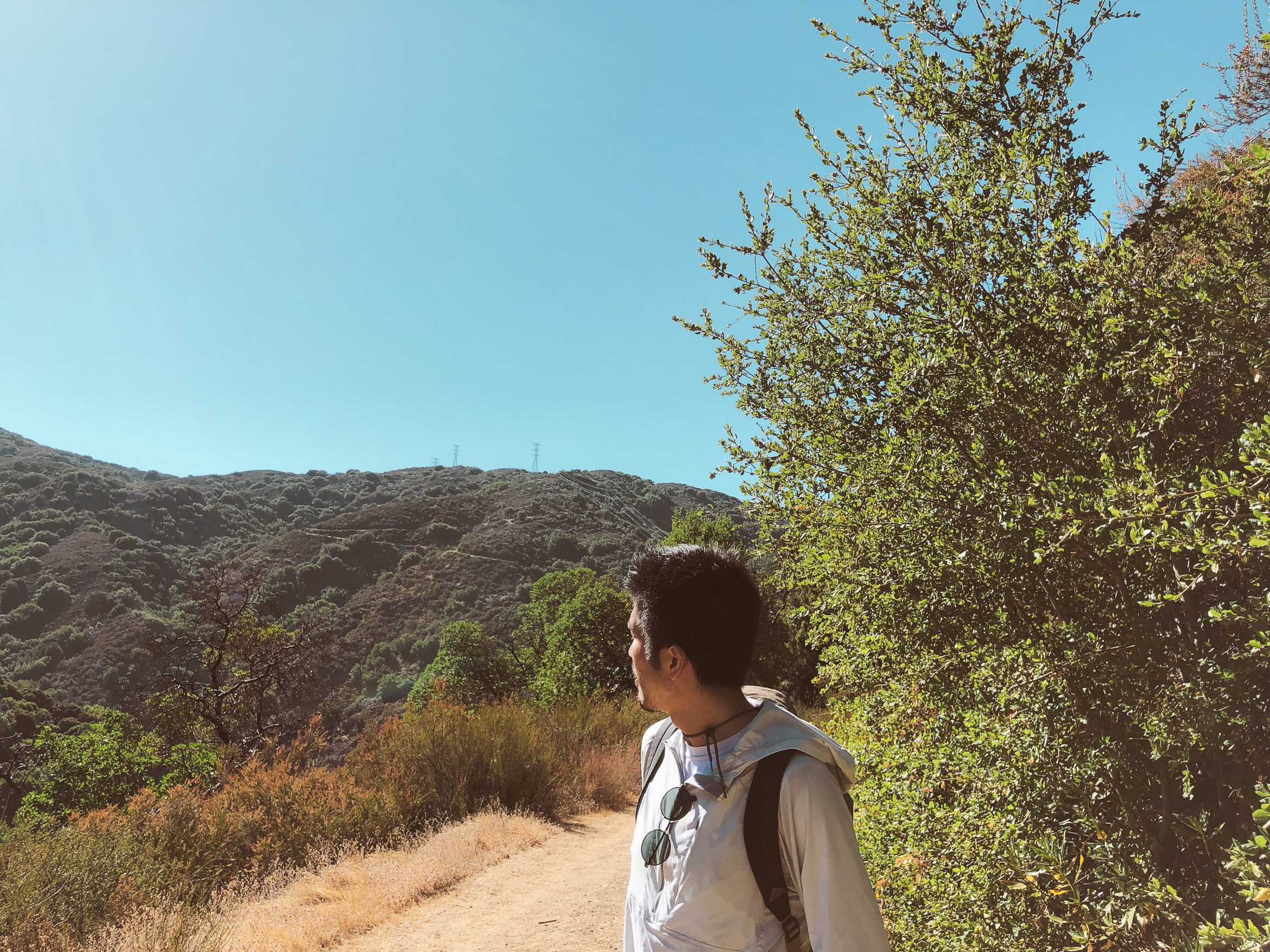 california hiking mount umunhum