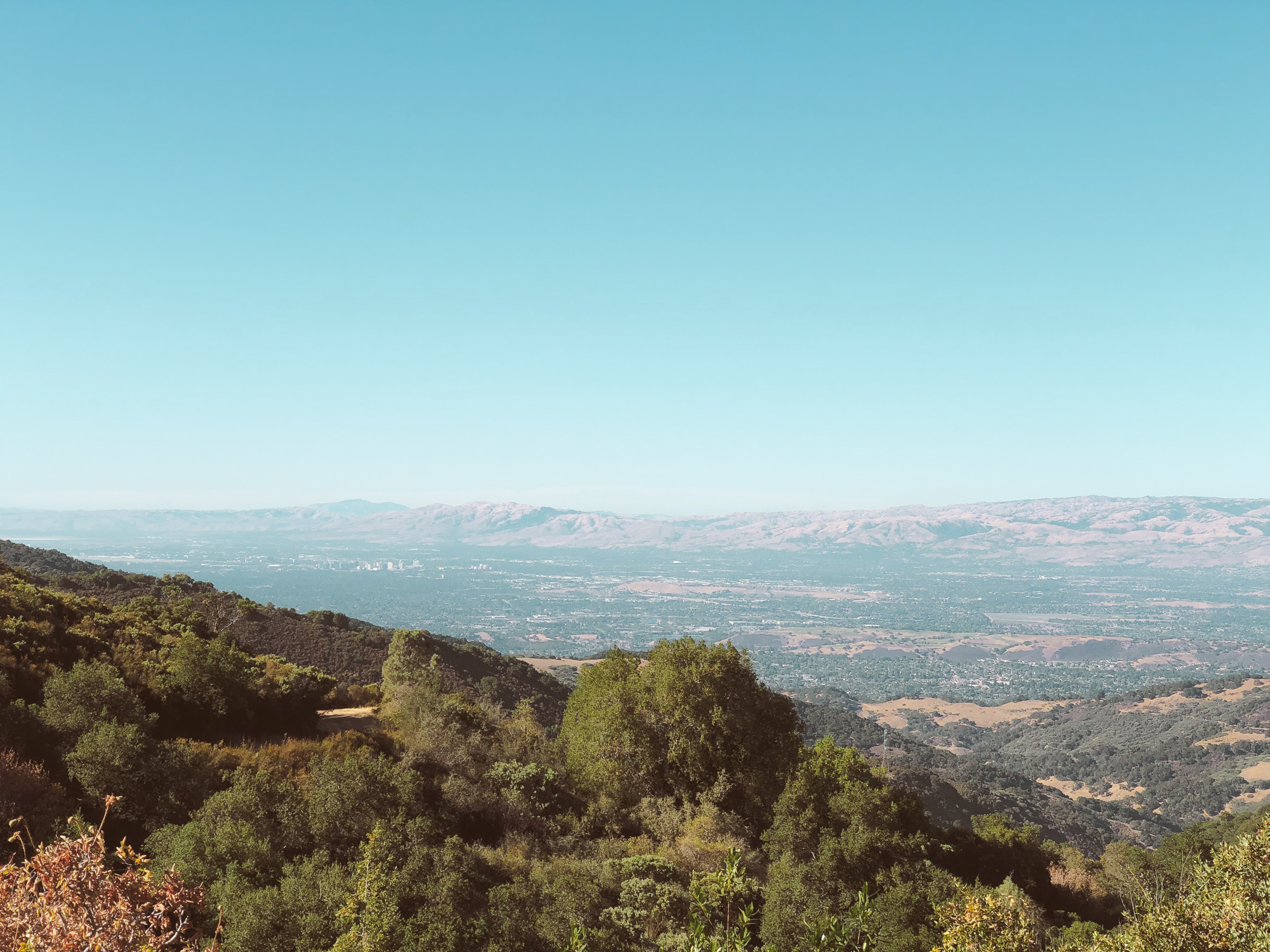 california hiking mount umunhum