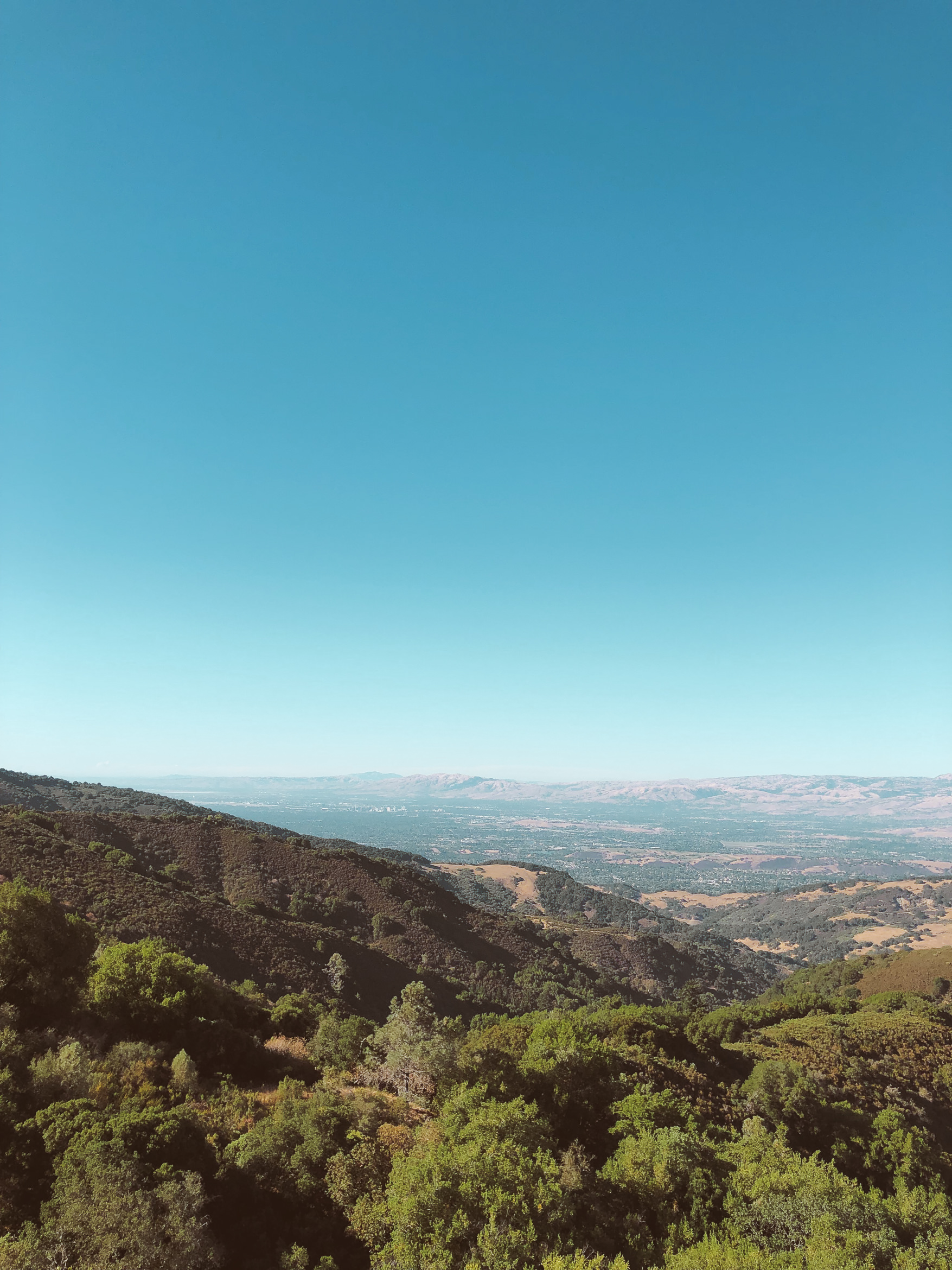 california hiking mount umunhum
