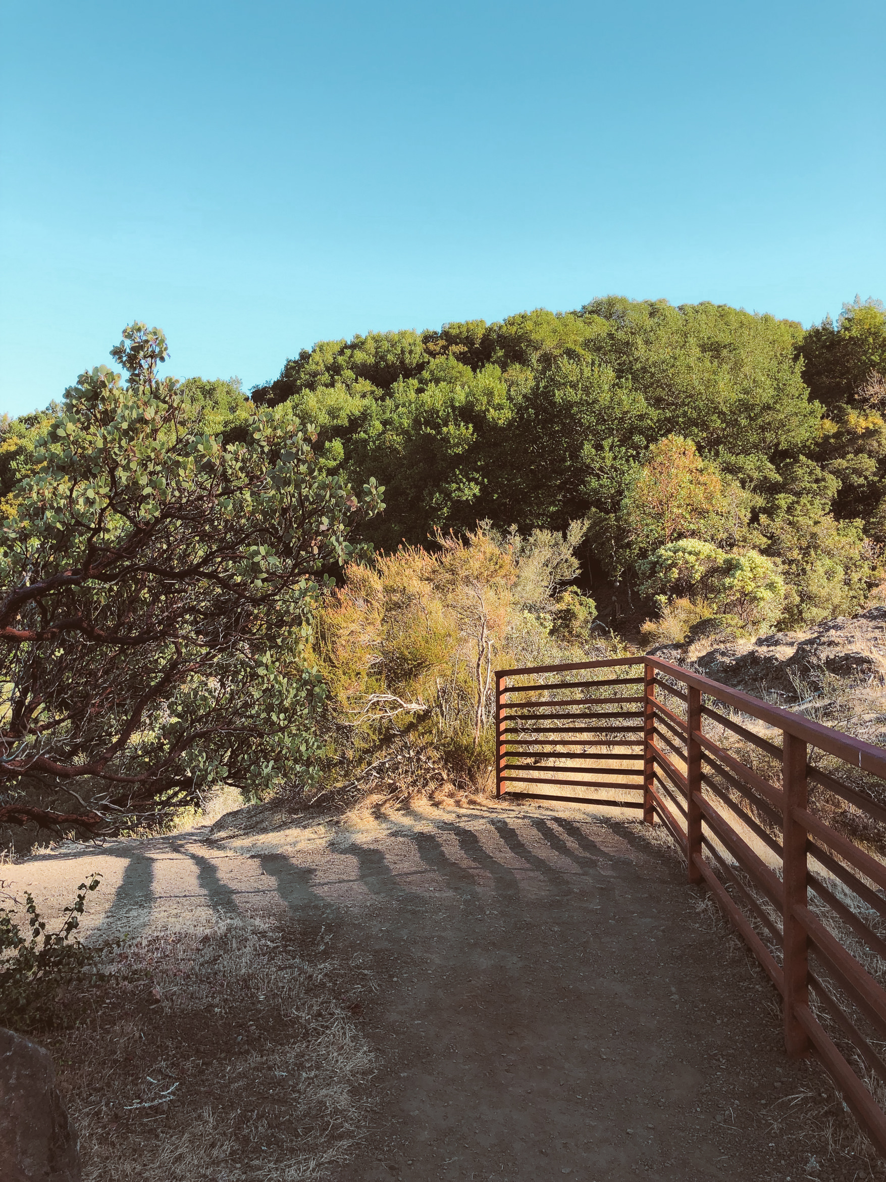 california hiking mount umunhum