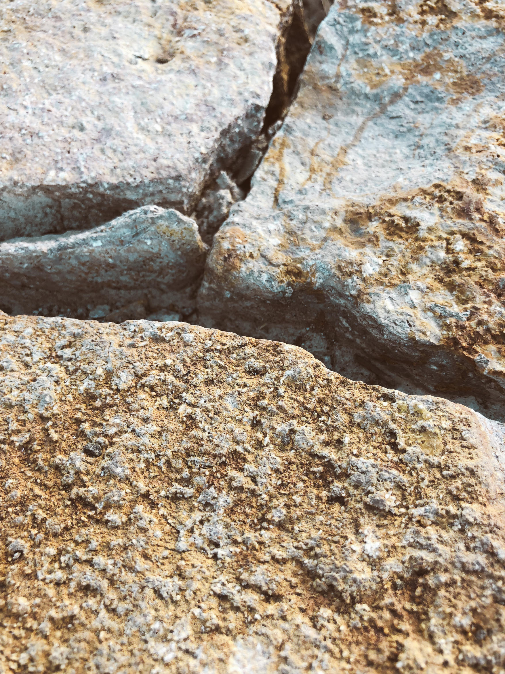 california hiking mount umunhum