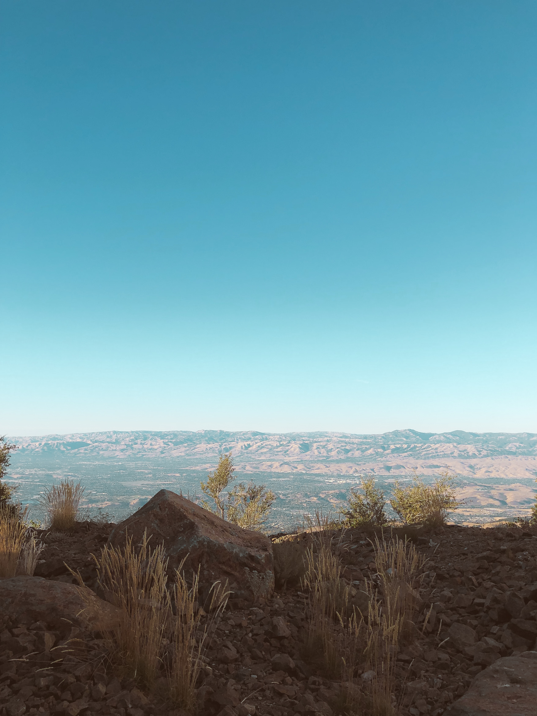 california hiking mount umunhum
