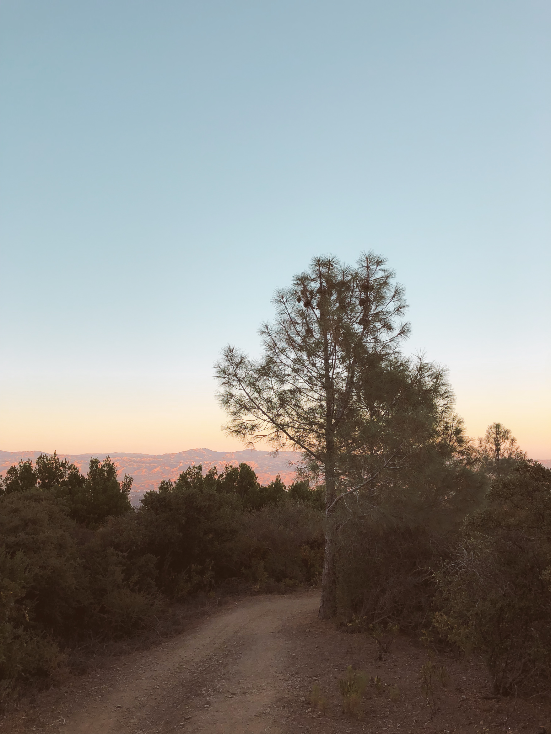california hiking mount umunhum