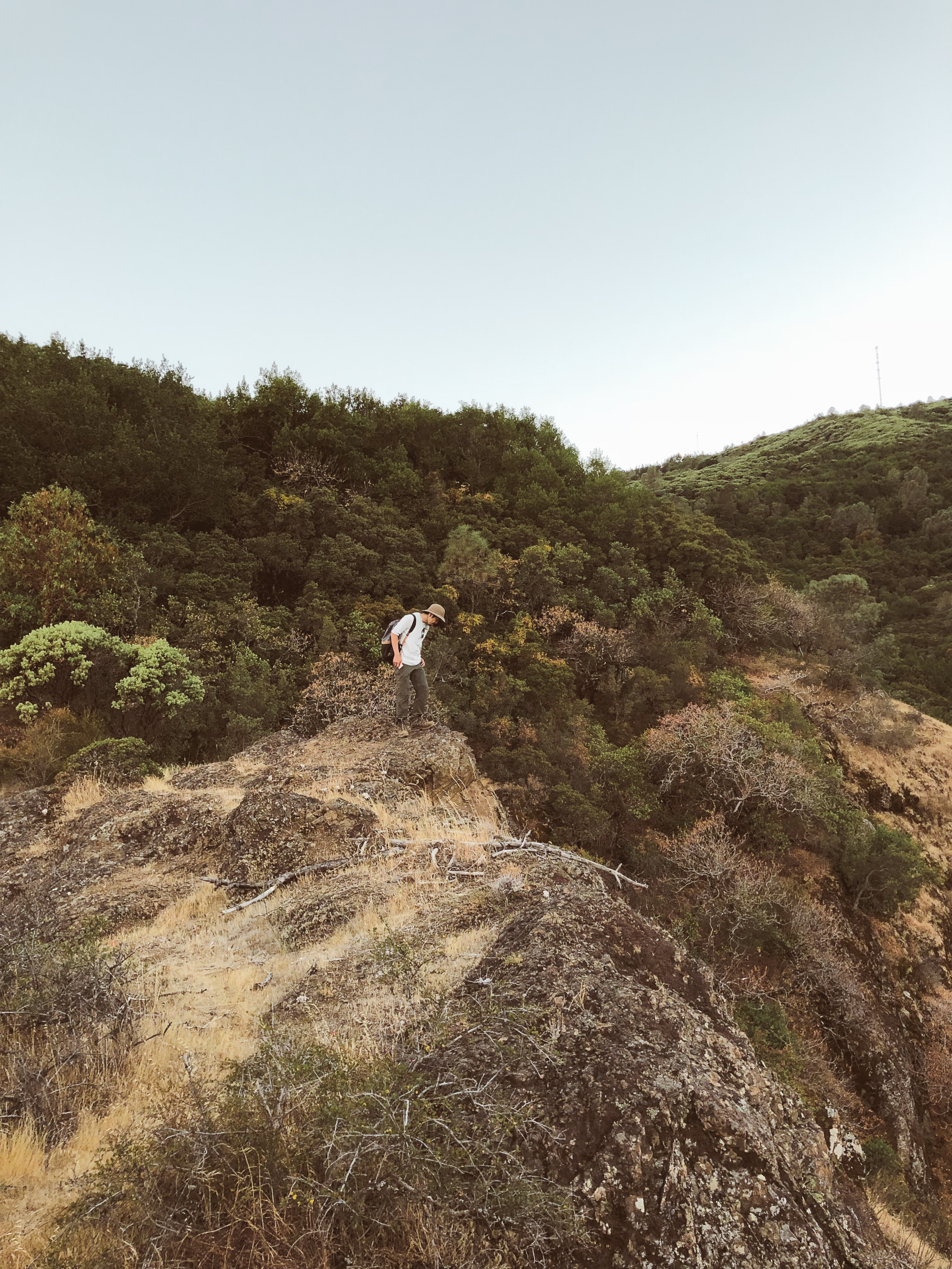california hiking mount umunhum
