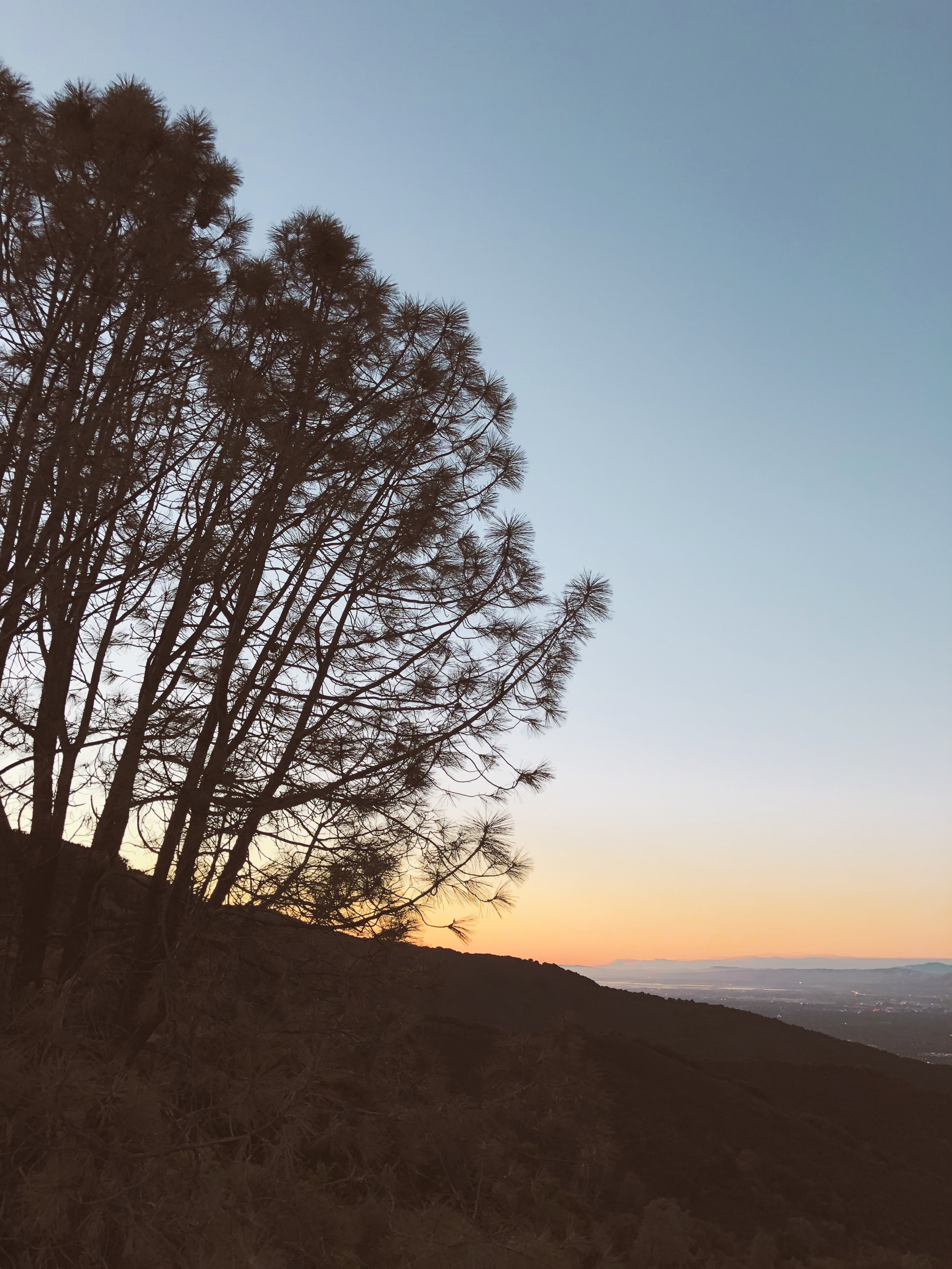 california hiking mount umunhum