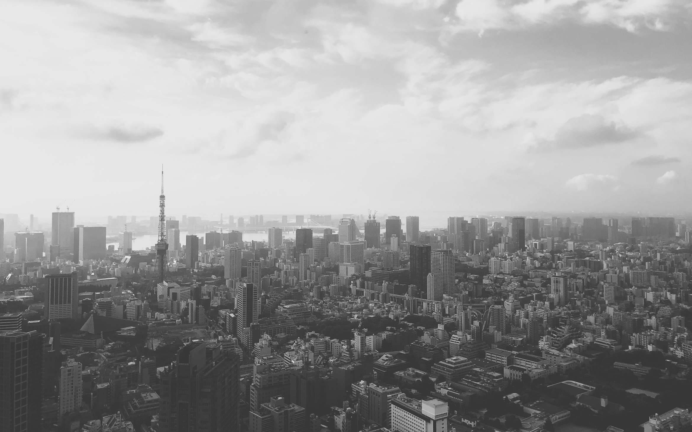japan ritz