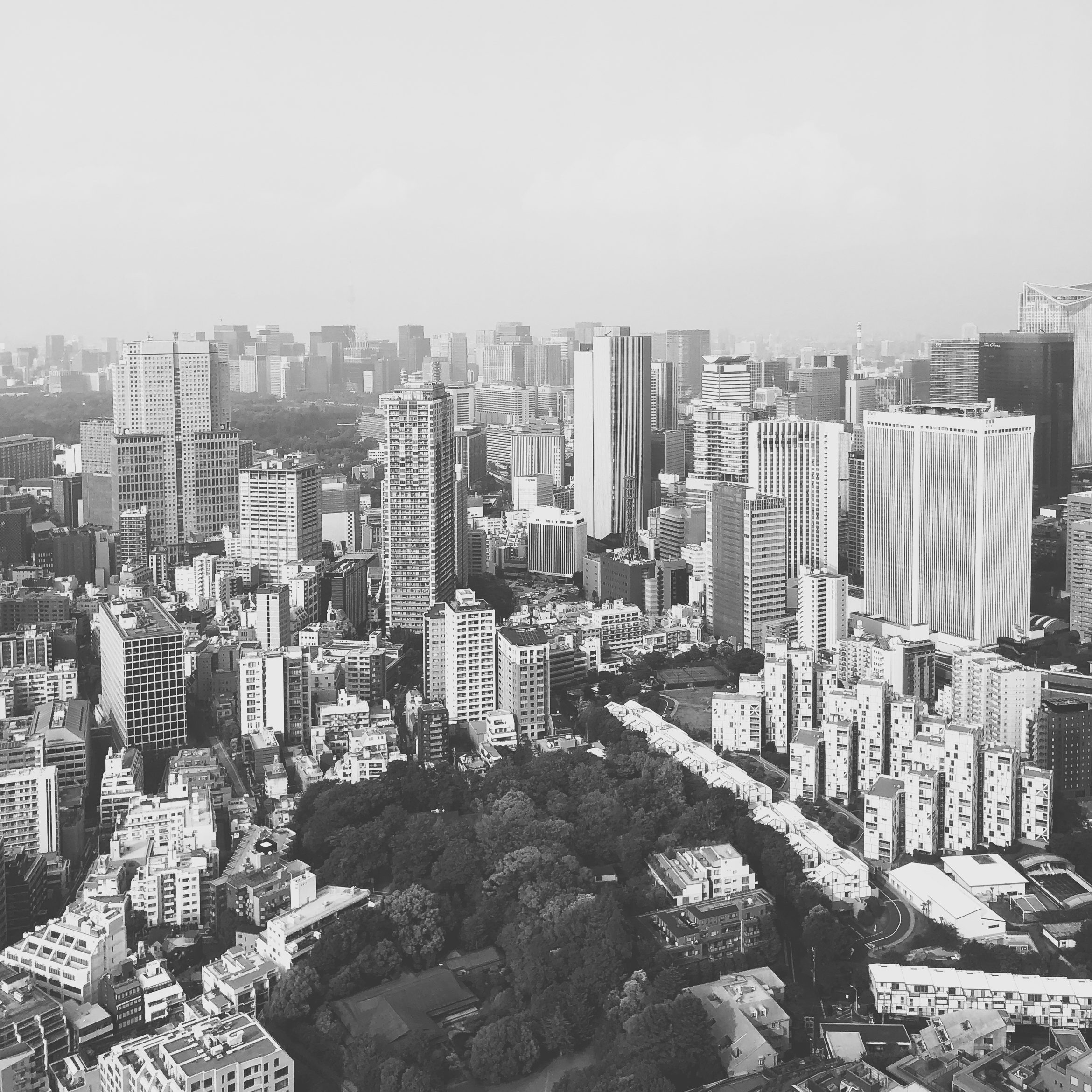 japan ritz