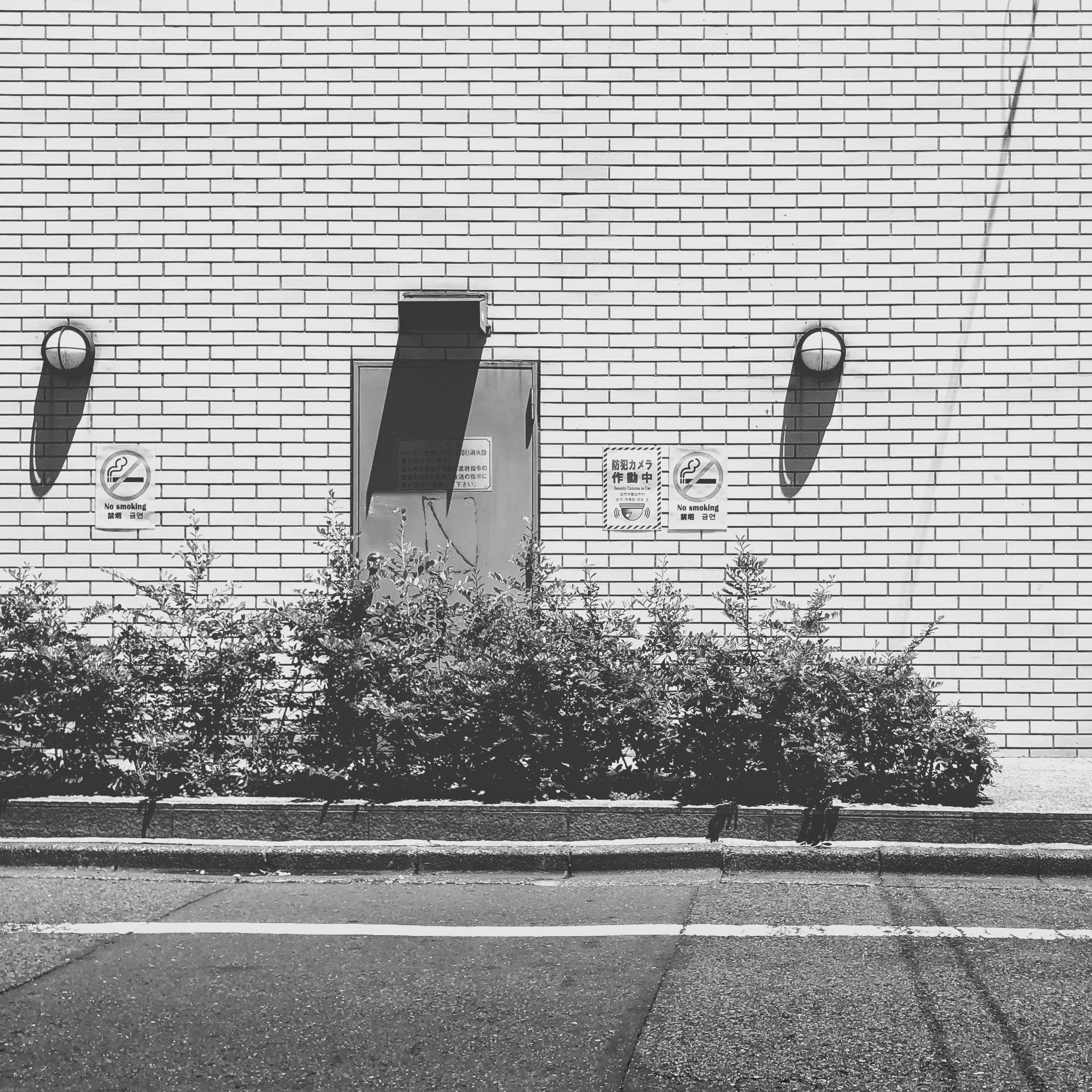 japan shibuya