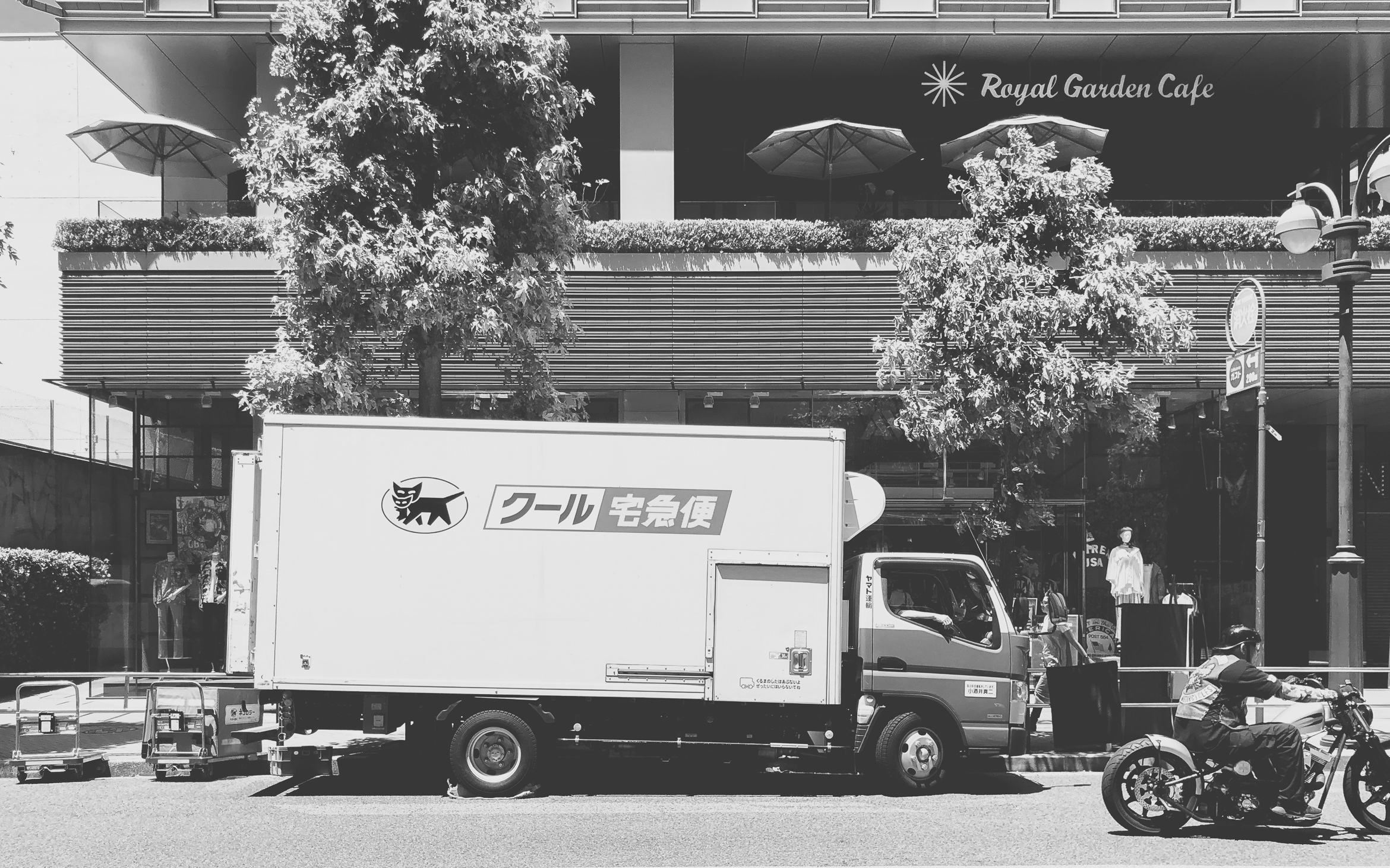 japan shibuya