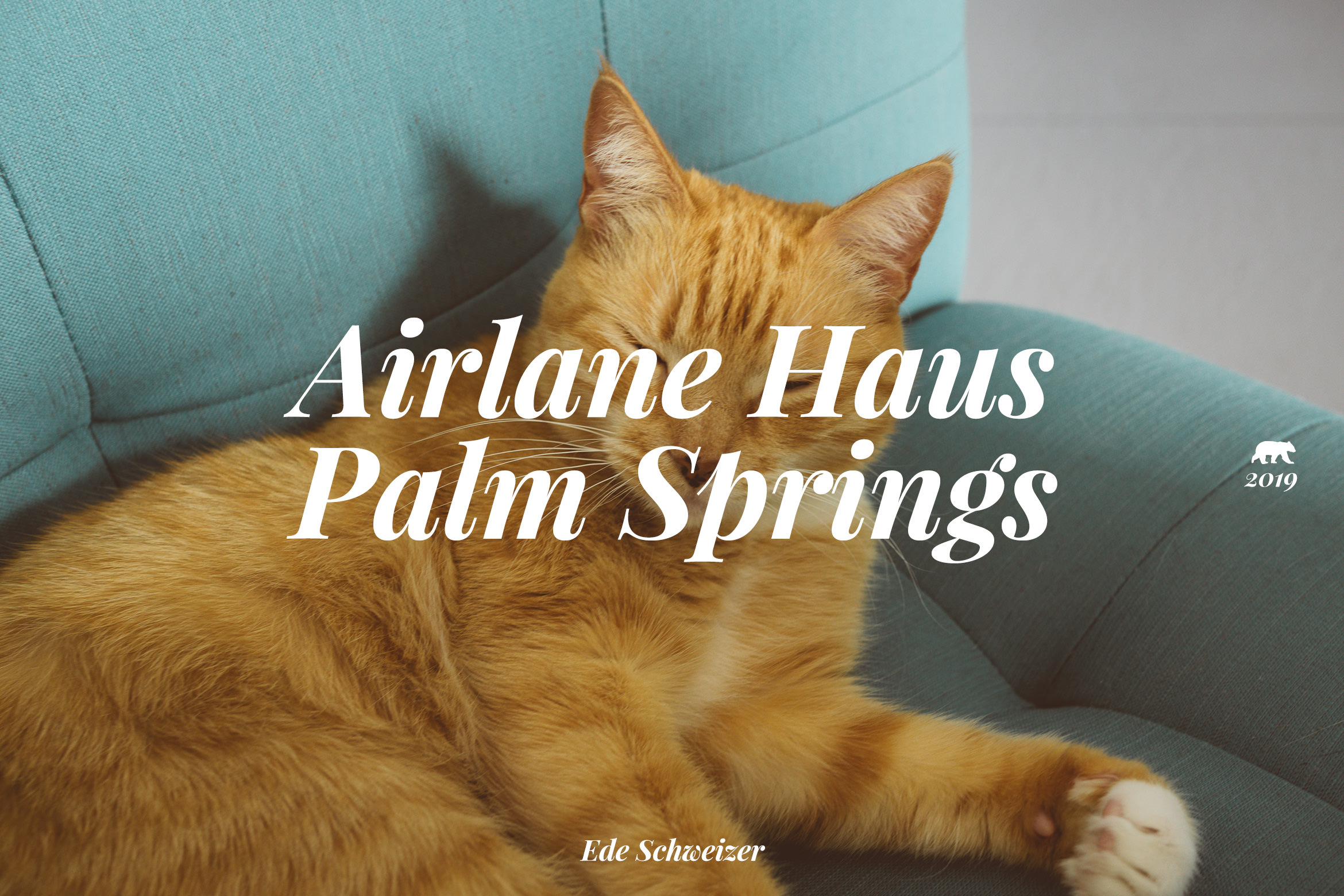 palmsprings_airlanehaus