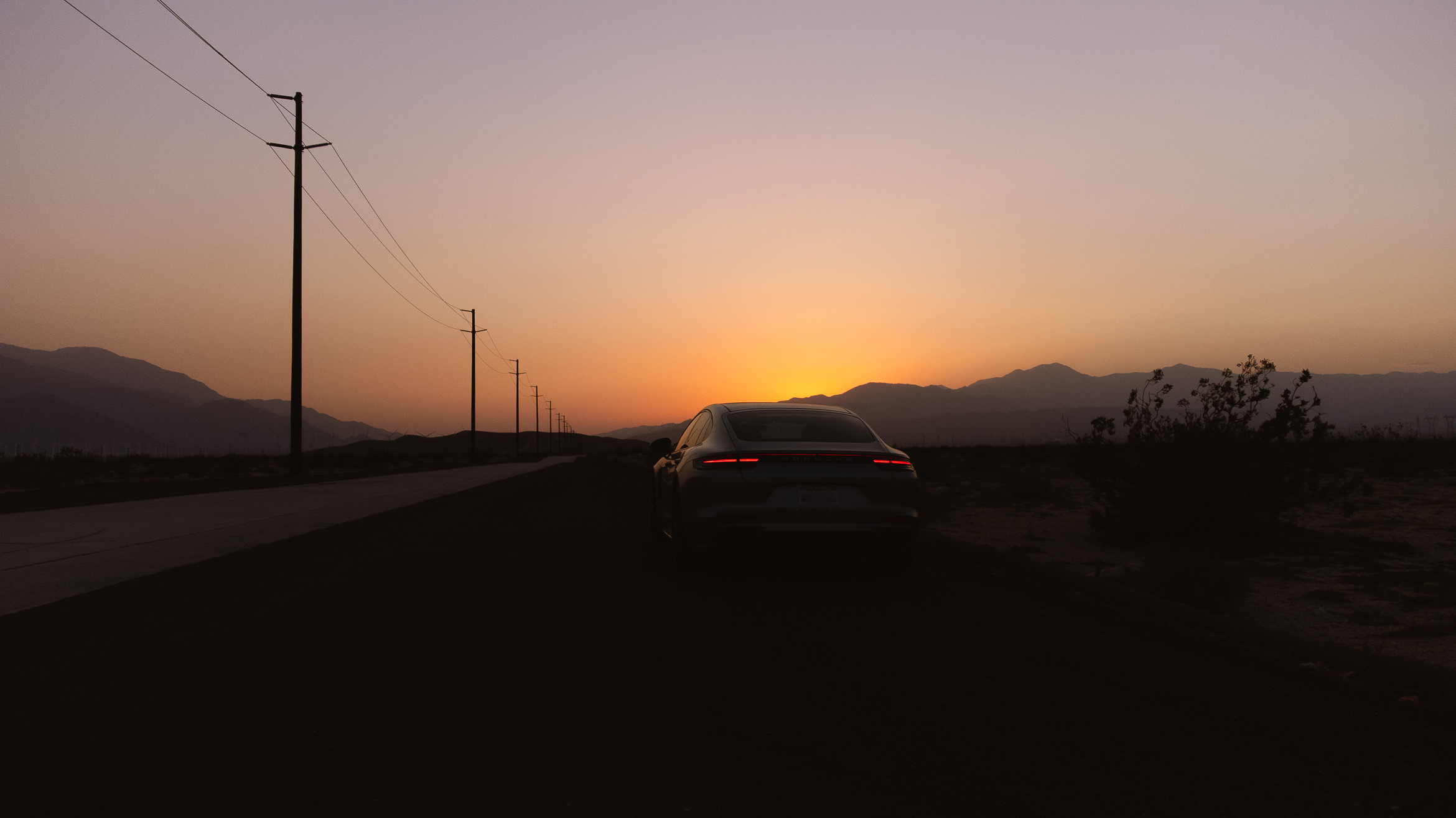 PalmSprings wolfsunset