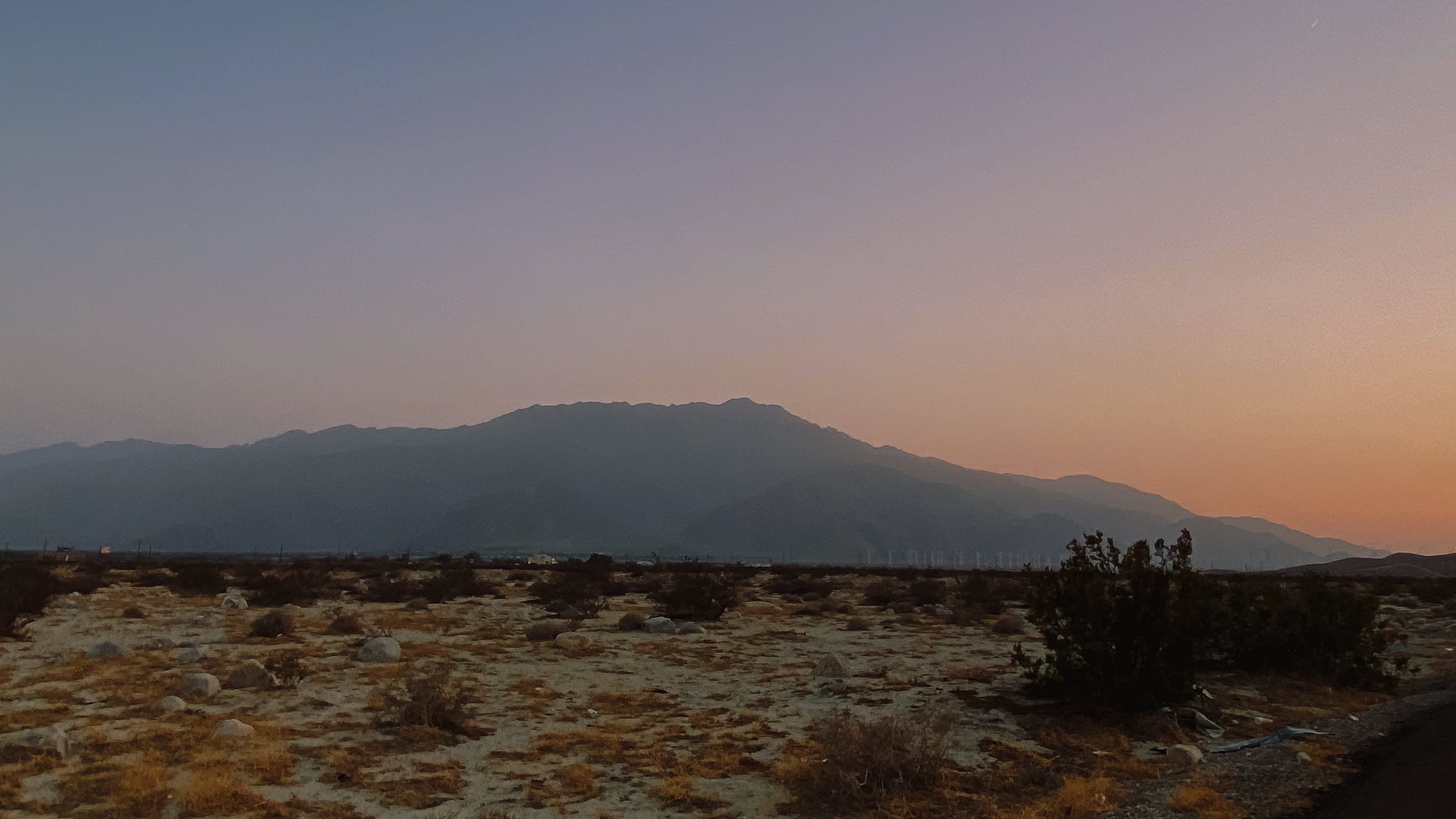 PalmSprings wolfsunset