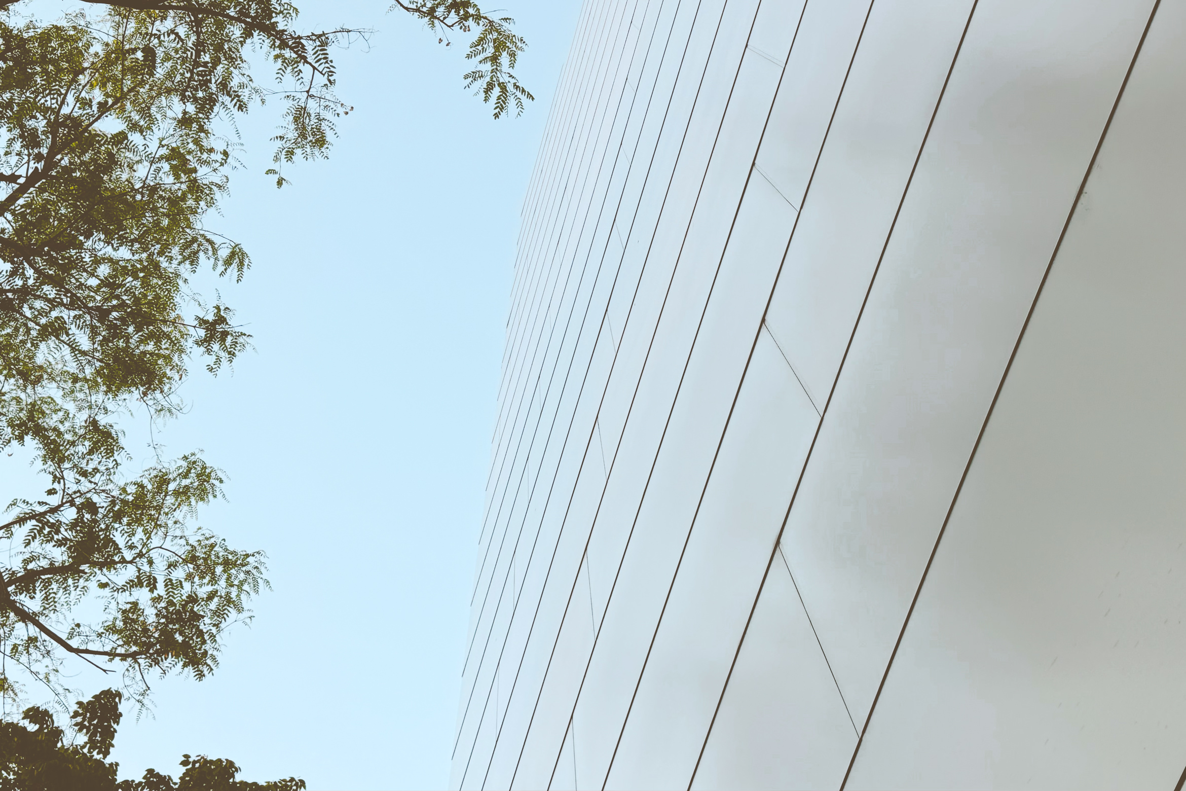 walt disney concert hall