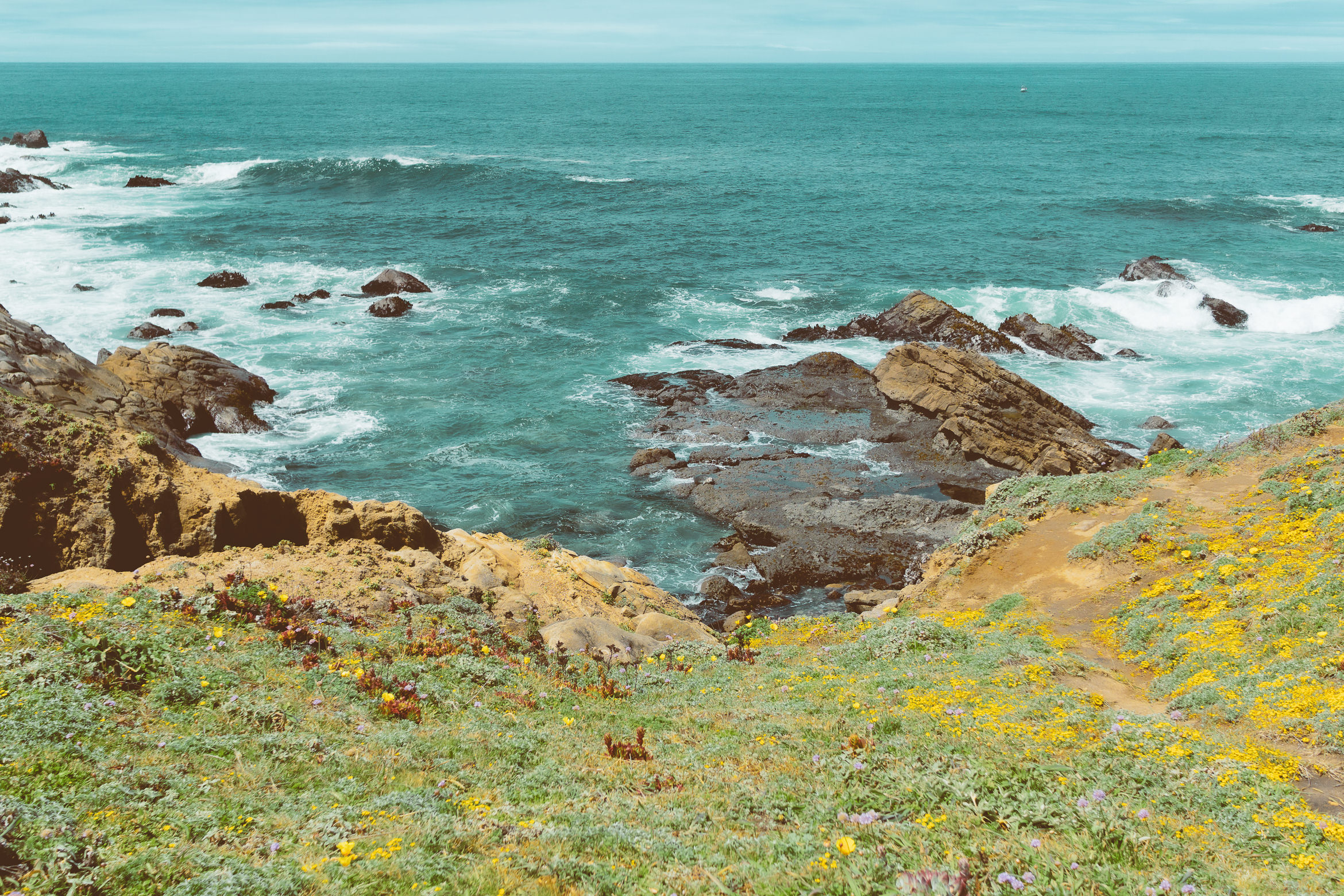 salt point south trail