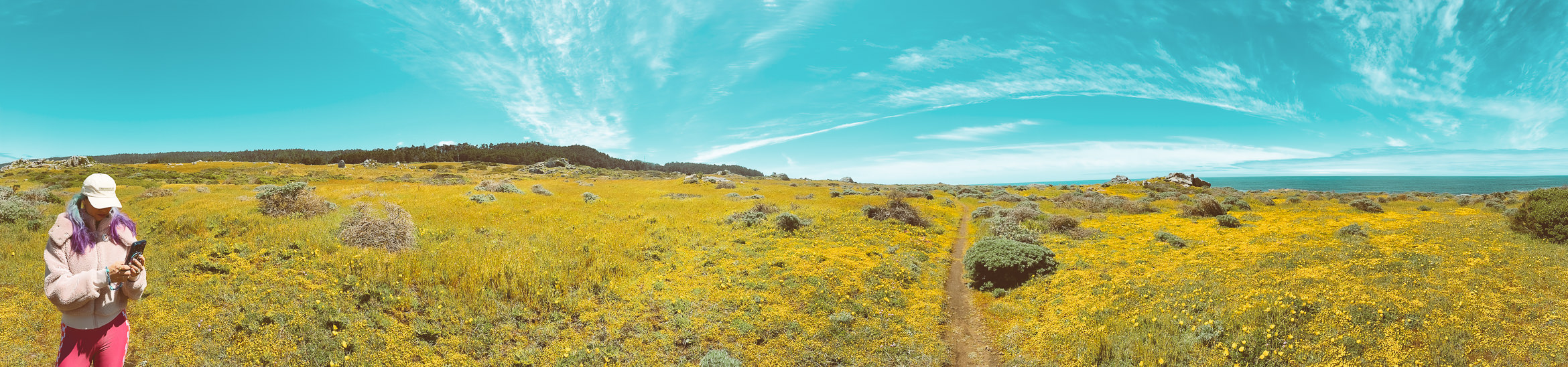 salt point south trail
