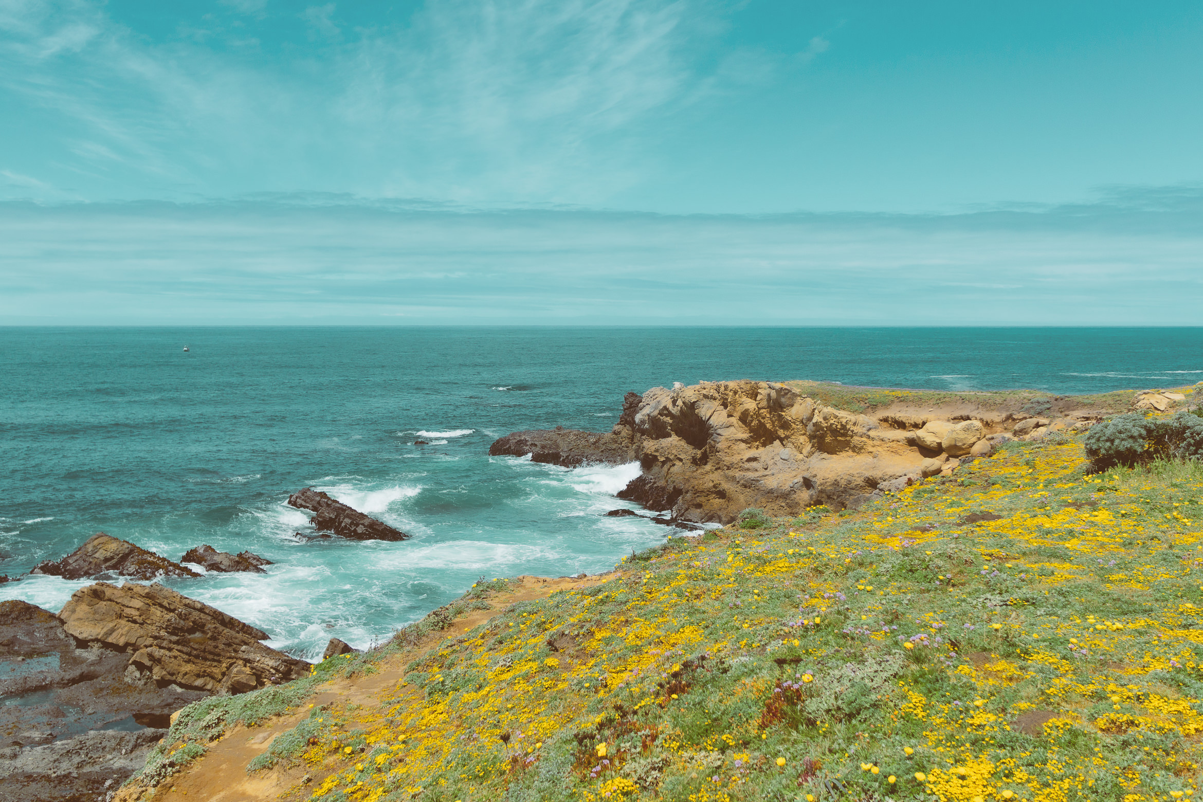 salt point south trail