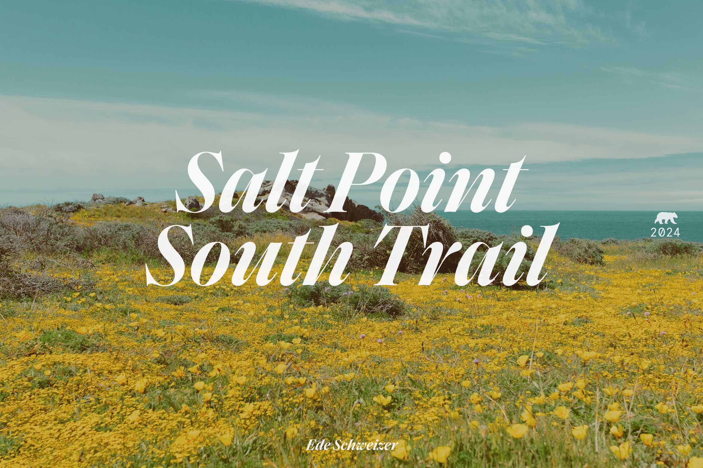 salt point south trail