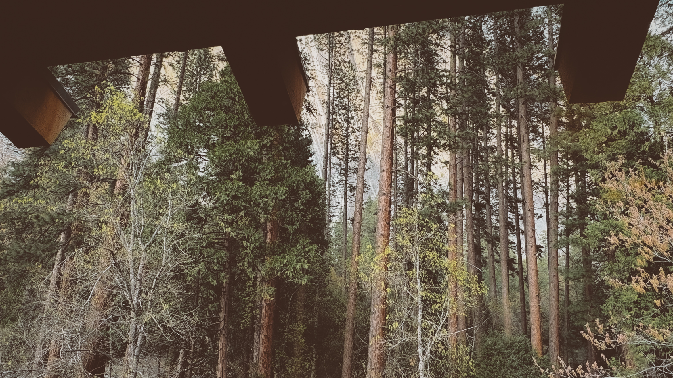 yosemite valley awahanee