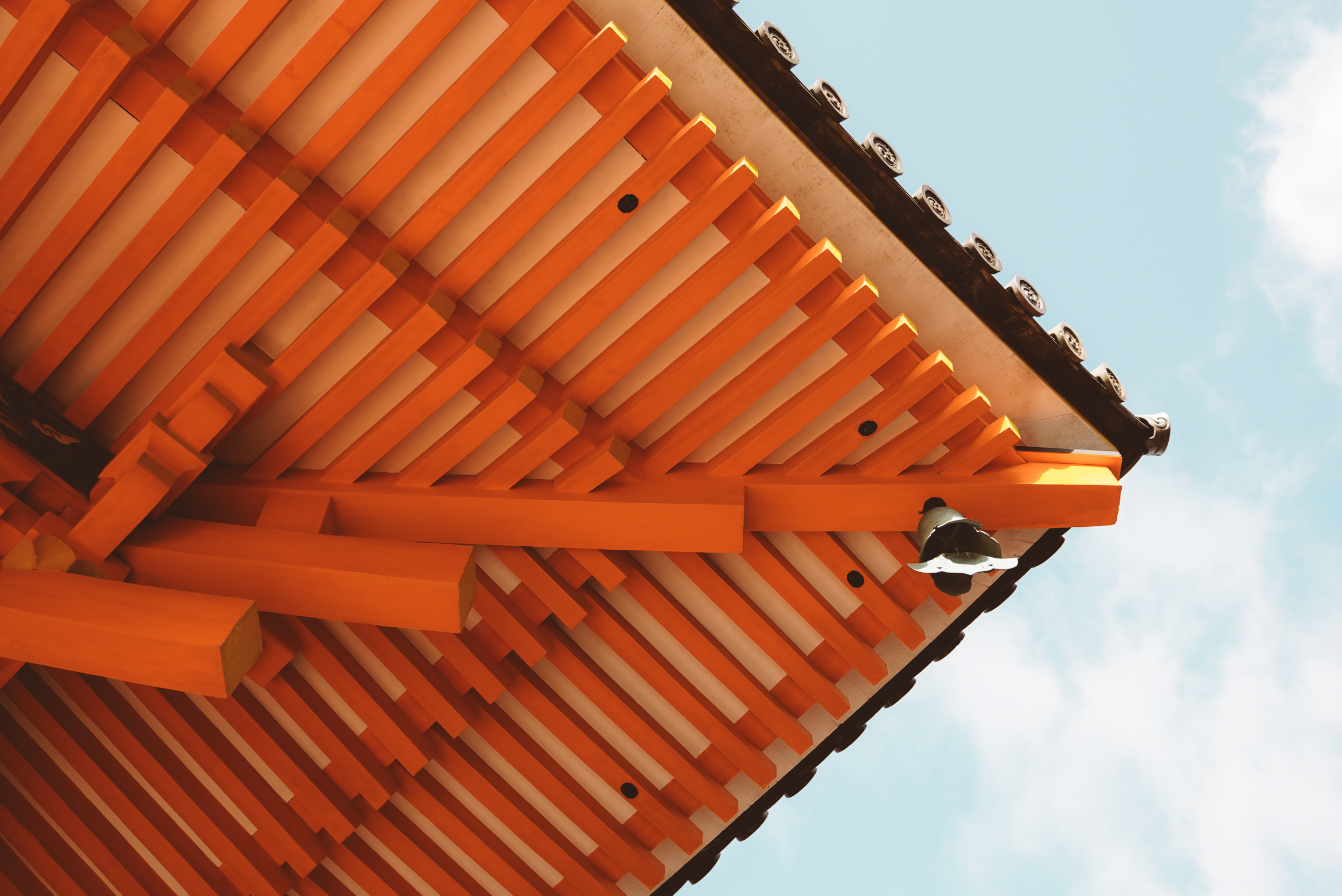 Japan Kyoto vermillion life force