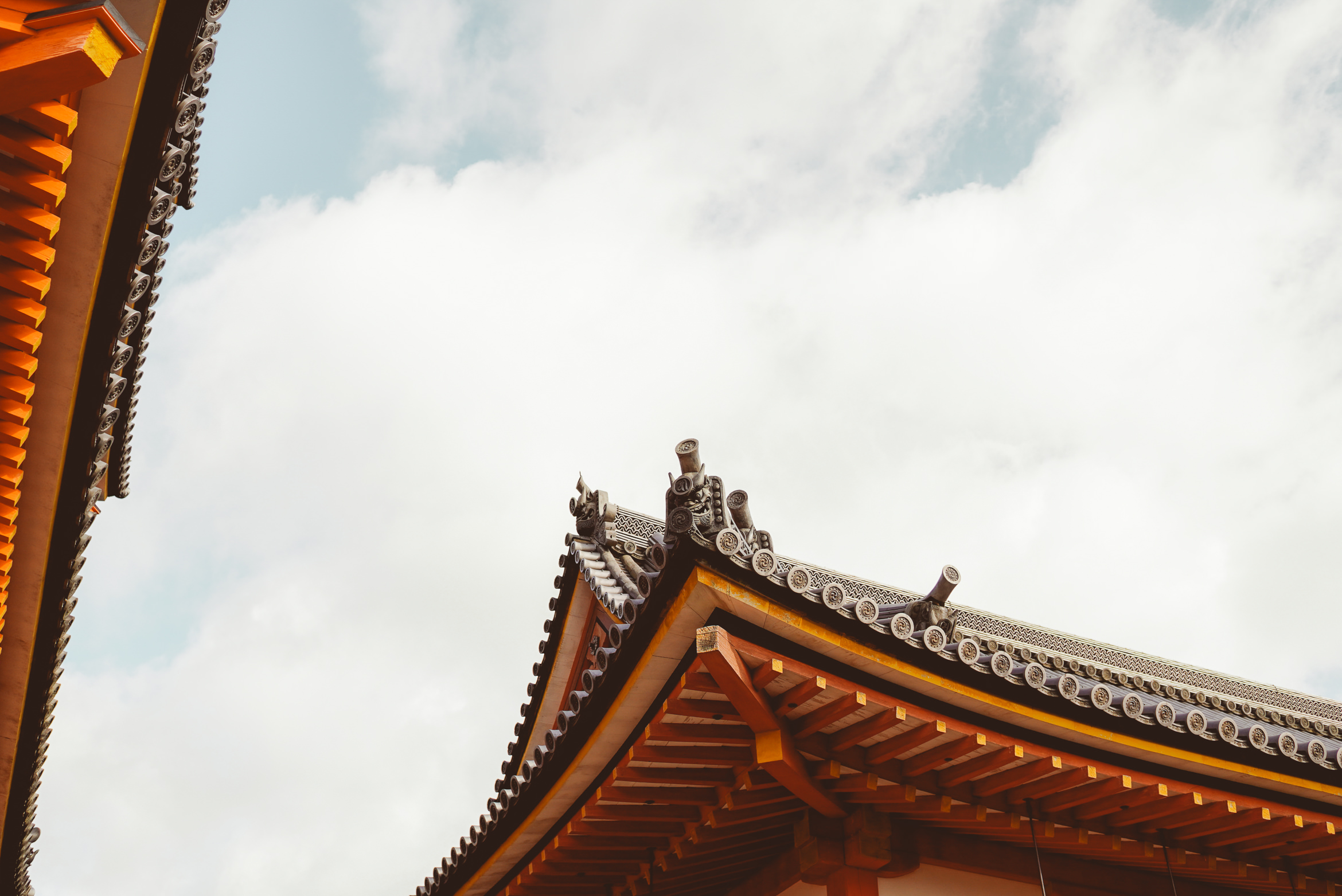 Japan Kyoto vermillion life force
