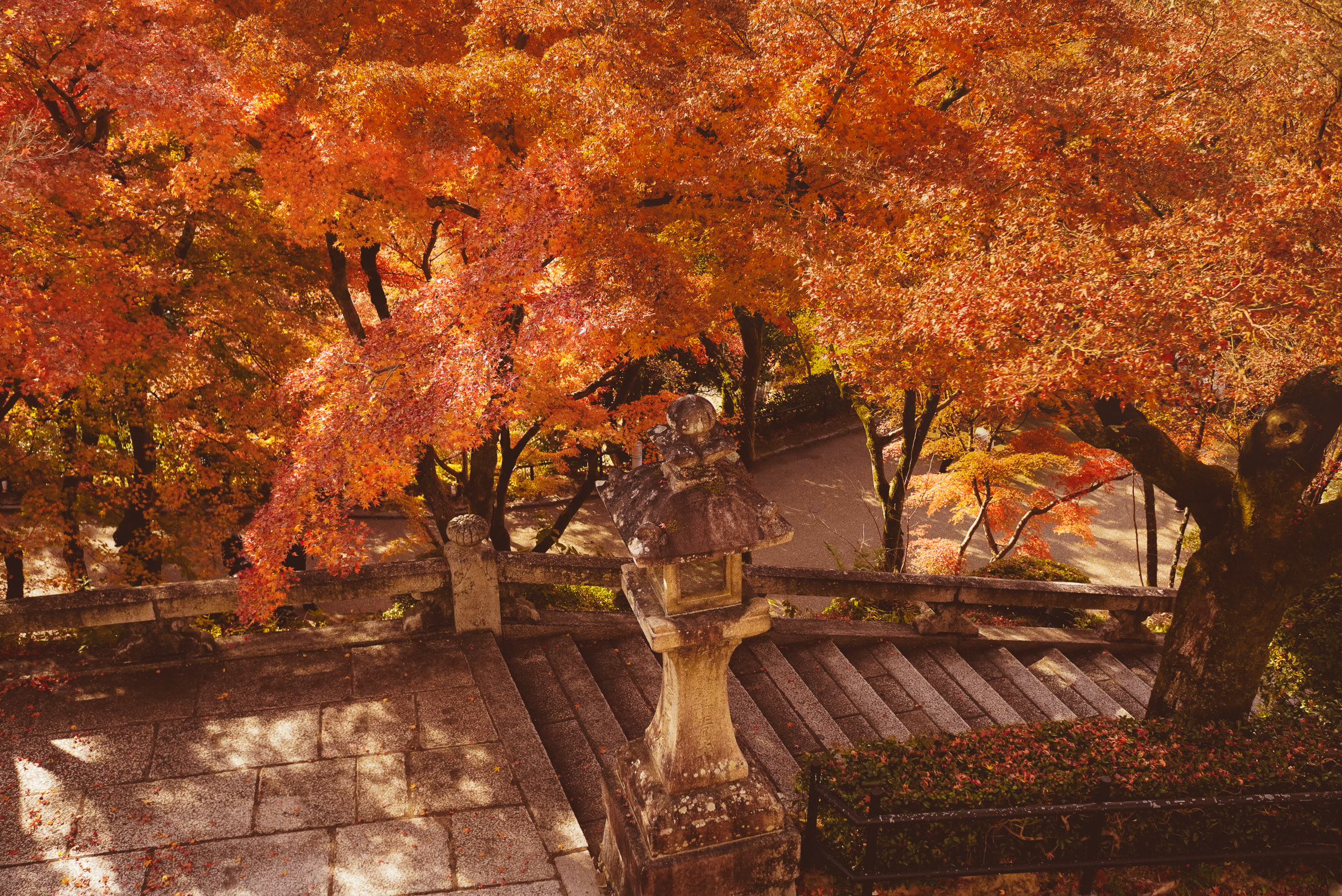 Japan Kyoto vermillion life force