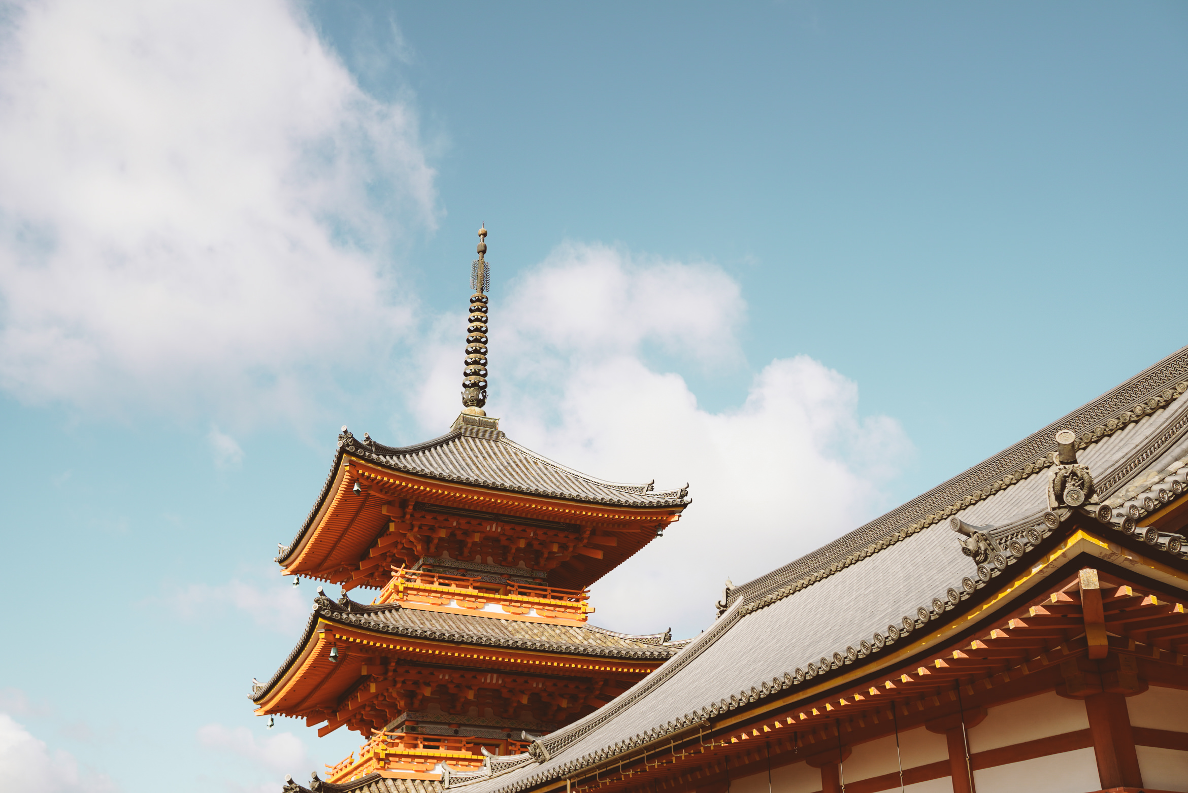 Japan Kyoto vermillion life force