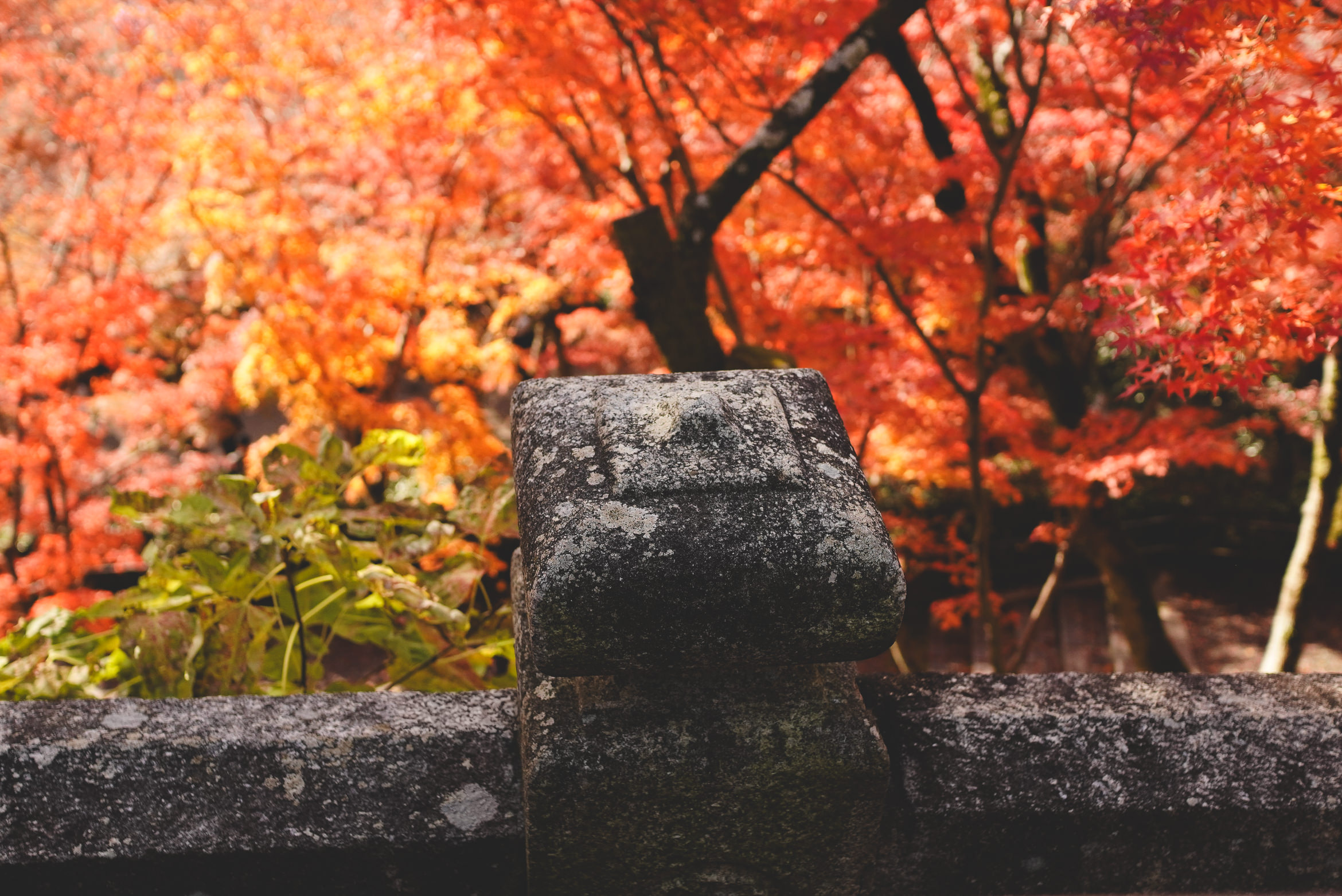 Japan Kyoto colour and illusion