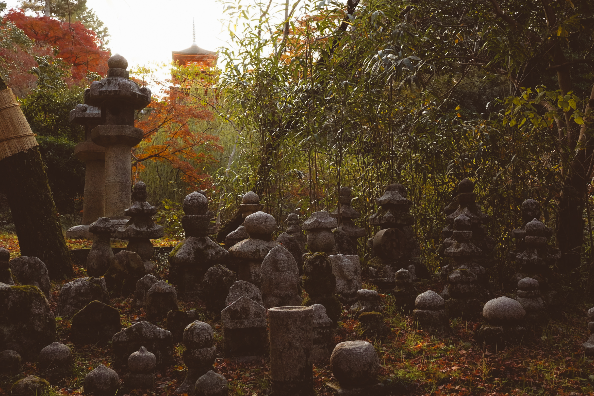 Japan Kyoto temple over the abyss
