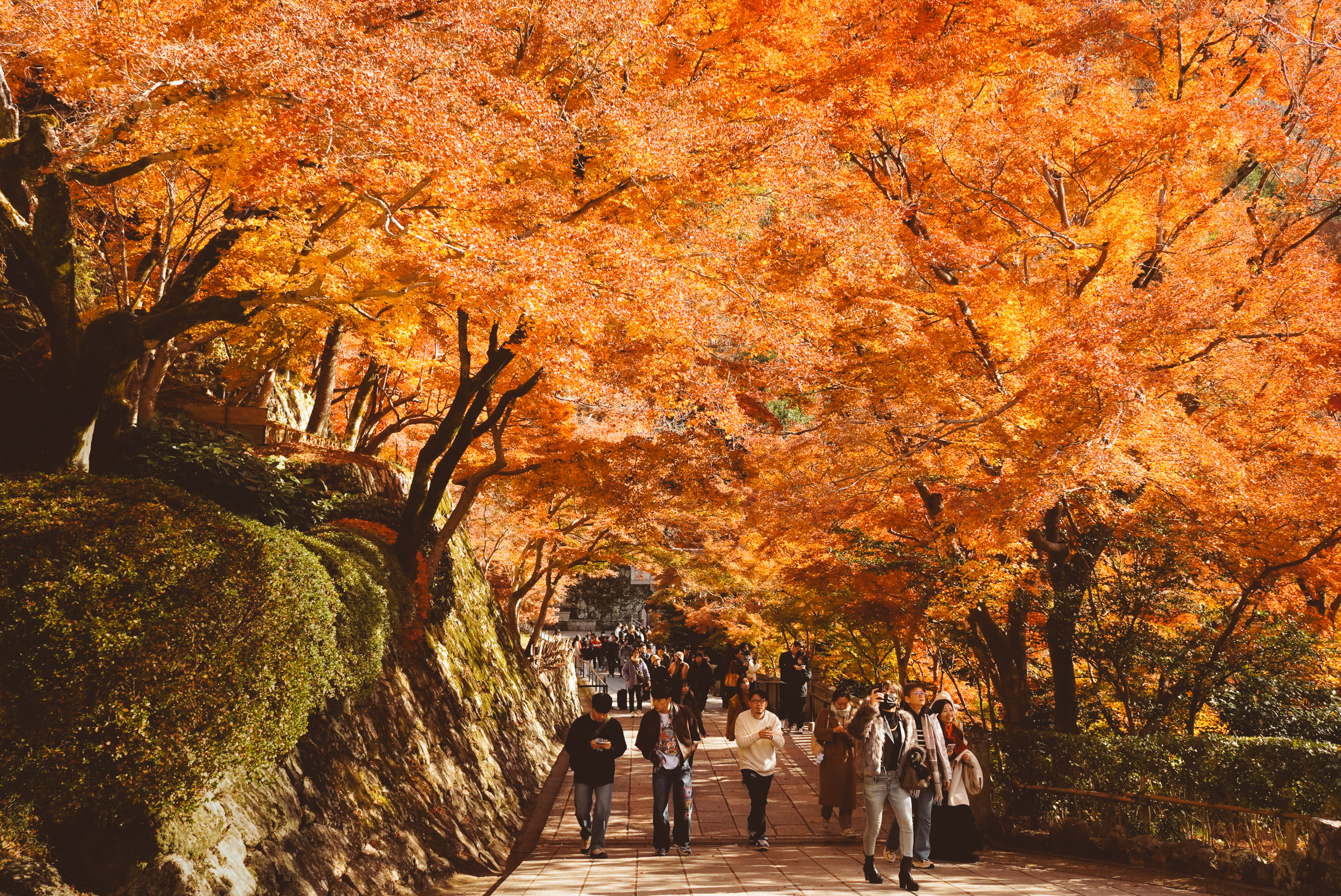 Japan Kyoto temple over the abyss
