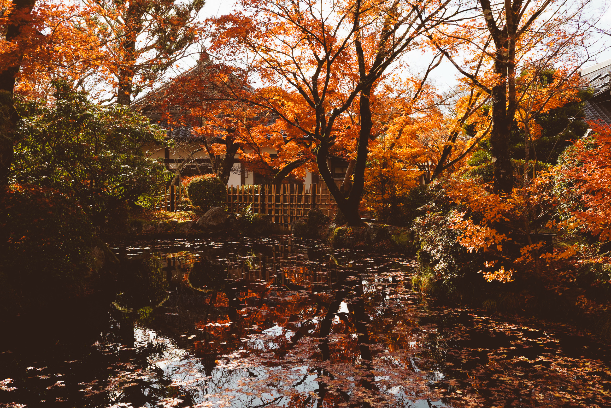 Japan Kyoto temple over the abyss