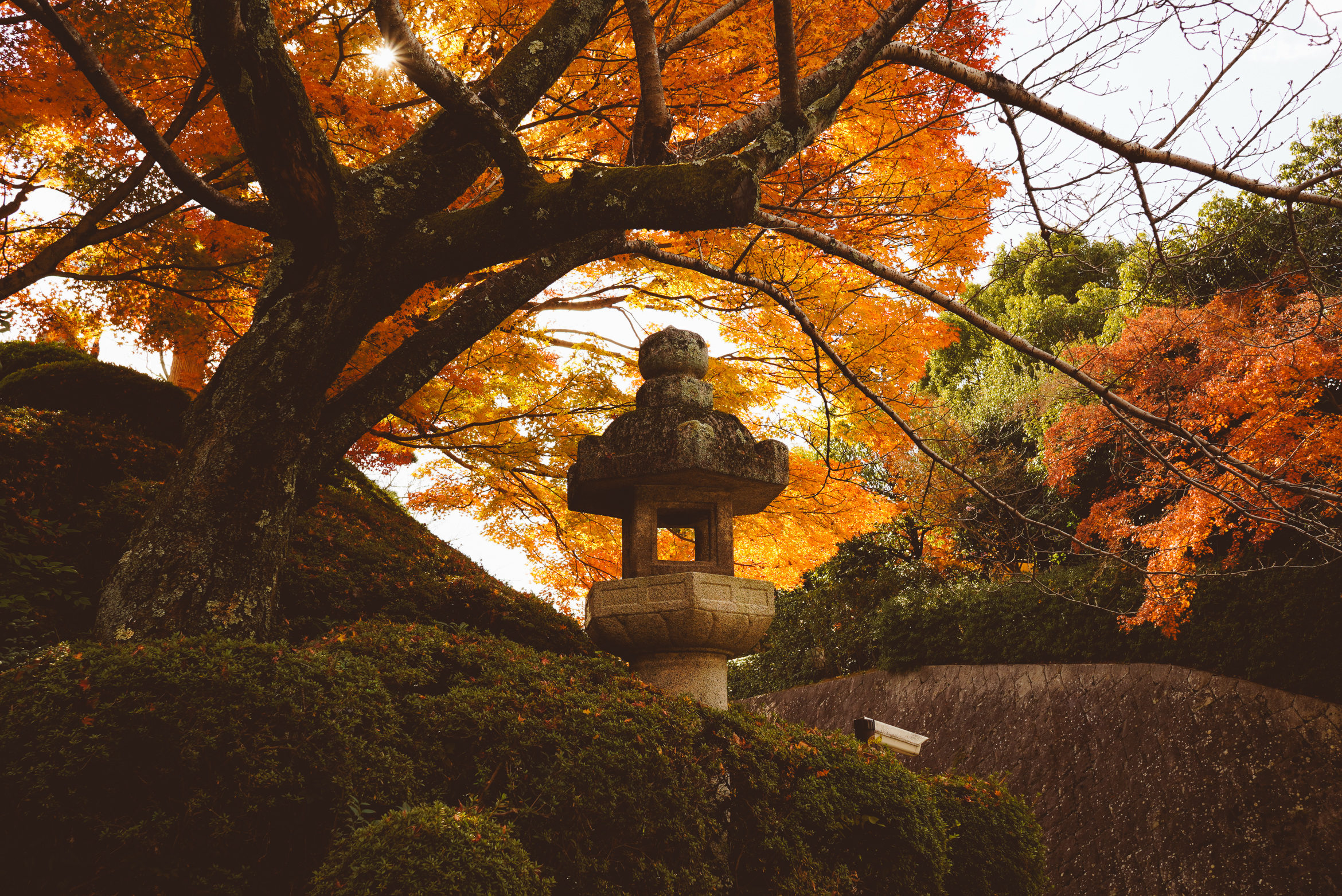 Japan Kyoto temple over the abyss